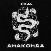 RAJA - Анаконда