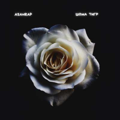Asanrap - Шома Тигр