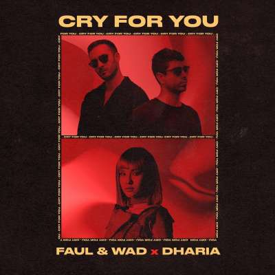 Faul & Wad feat. DHARIA - Cry For You