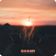 Shami - Рассвет Впереди