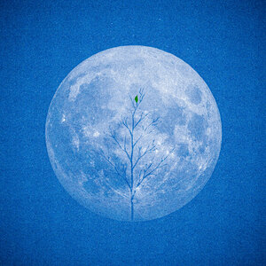 AStudio - Она не виновата