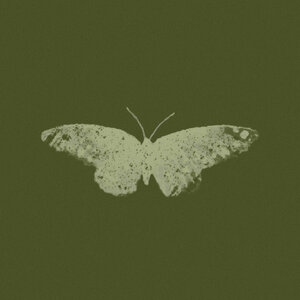 LoVibe - a good man with a broken heart