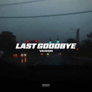 VAIDEN - Last goodbye