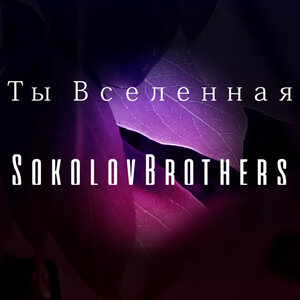 SokolovBrothers - Вот я