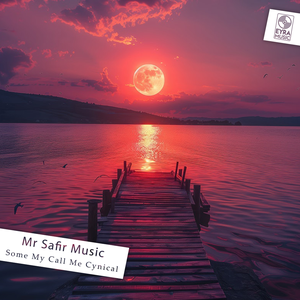 Mr Safir Music - Next
