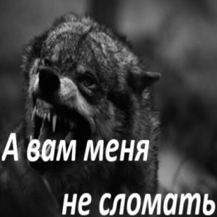 Garik Garik - А Вам Меня Не Сломать