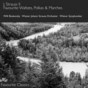 Johann Strauss II - The Blue Danube