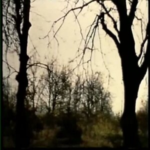 DJ DR4GM4SHROOM - BLACK BEATLES JUMPSTYLE REMIX