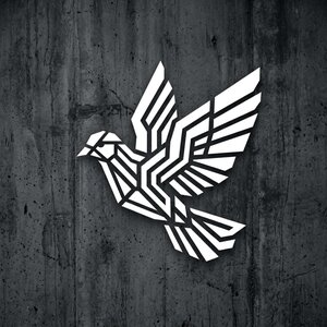 DJZHUKOV - Одинокий голубь