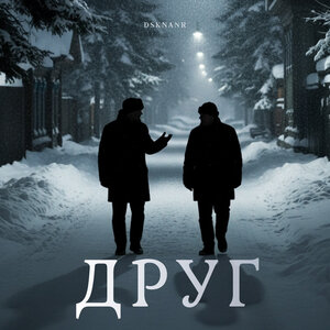dsknanr - Друг