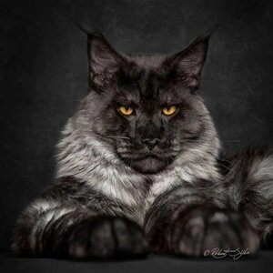 Константин Лоран - Я помню Брат