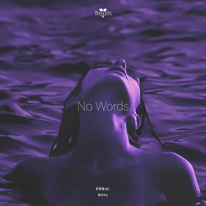ERMAC & MDNA - No words