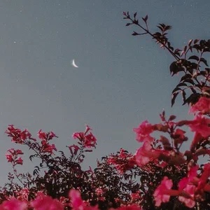 SXULTAPE VISION - SUMMER