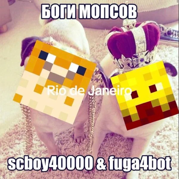 FUG4BOT - Мопсы